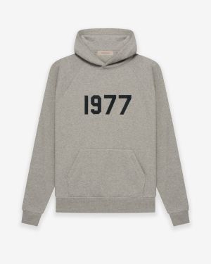 Essentials 1977 Pullover  Dark Gray Hoodie