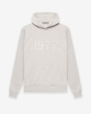 Essentials 1977 Pullover Hoodie – Gray